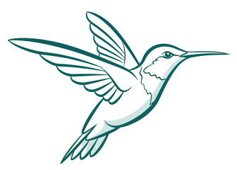 Obraz premium Beautiful hummingbird flying vector illustration, elegant bird design for wildlife, tropical nature, freedom and creative art concepts