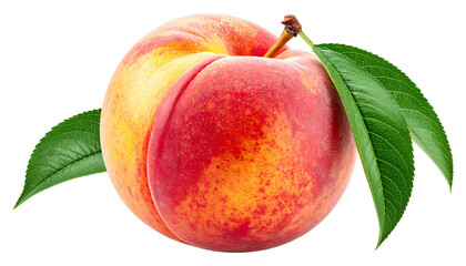Juicy peach with vibrant red, yellow, and orange hues, accented by green leaves, sits on a black background