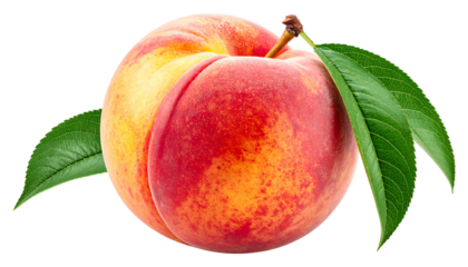Juicy peach with vibrant red, yellow, and orange hues, accented by green leaves, sits on a black background
