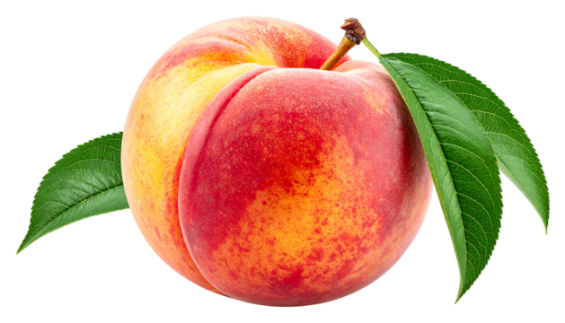Juicy peach with vibrant red, yellow, and orange hues, accented by green leaves, sits on a black background