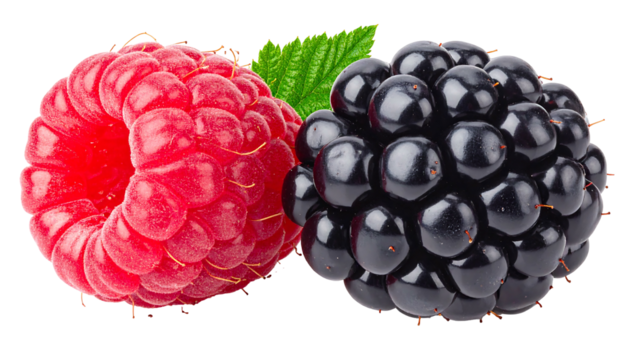 Juicy raspberry and plump blackberry side-by-side against a dark background; leafy detail visible