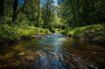 Fototapeta premium Tiny stream flowing through woodland on a sunny summer afternoon