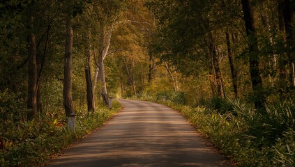 Fototapeta premium Nature by the roadside with trees and greenery