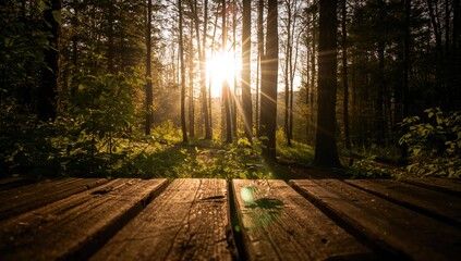 Obraz premium Beam of sunlight illuminating the forest, natural beauty outdoors