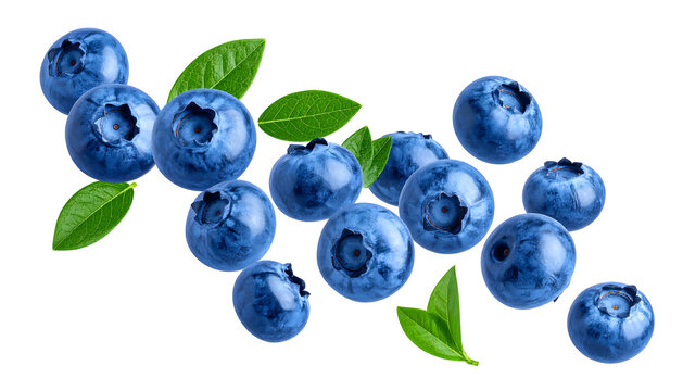 Fresh, vibrant blueberries scattered with green leaves on a clean black background