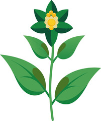 single Goosefoot  flowers vector art icon white background  