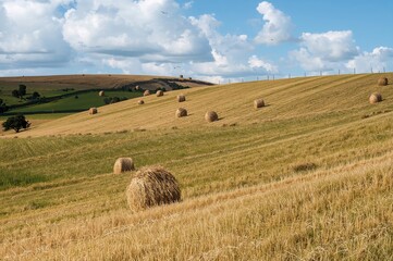 Obraz premium Multiple hay stacks spread over sloping farmland