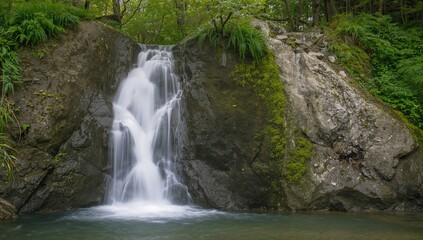 Fototapeta premium Cascade flowing through a wooded area covered with moss and ferns on the stones.