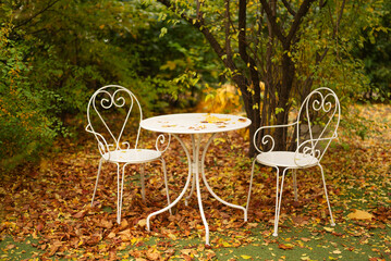 A white metal table and two chairs in a garden setting, surrounded by fallen autumn leaves.