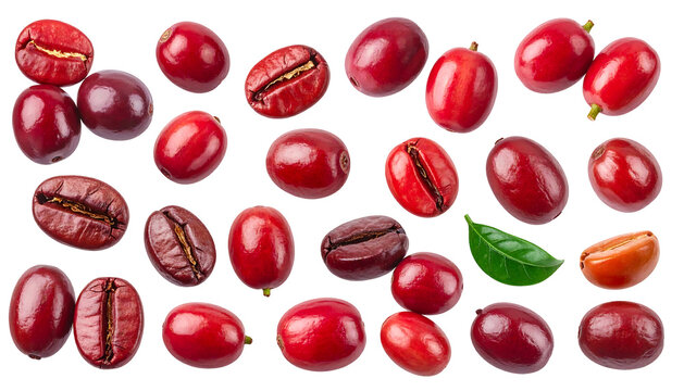 Red coffee cherries and some split beans are arranged on a black background; one green leaf is visible