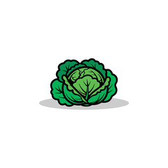 A vibrant, cartoon-style illustration of a fresh, green cabbage, isolated.