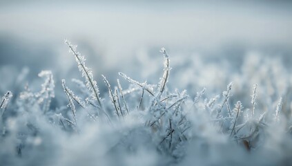 Obraz premium Winter frost and ice formations on blades of grass with selective focus and shallow depth of field