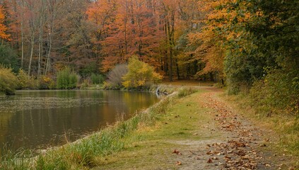 Fototapeta premium Trail by the lake in a protected natural area with forest, water, trees, grass, and autumn greenery