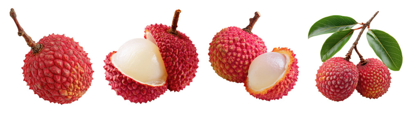 Set isolated fresh fruit, lychee in various style, on transparent background.