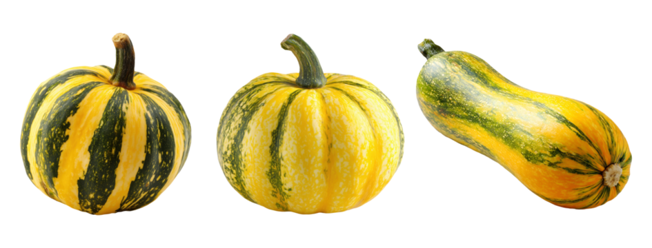 Set isolated fresh fruit, squash in various style, on transparent background.