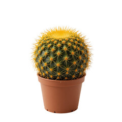 Barrel Cactus In A Brown Pot Featuring Densely Packed Yellow Spines And A Spherical Shape Isolated On A Transparent Background