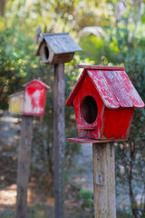Three colorful birdhouses on wooden posts in garden setting, with focus on red birdhouse in foreground