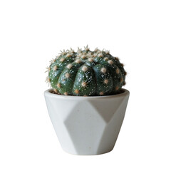 Green Cactus With White Spots In A White Geometric Pot Against A Transparent Background