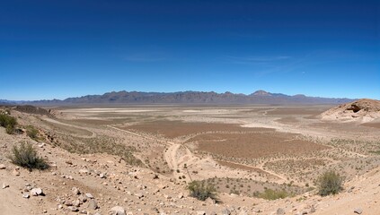 Wide-angle landscape of a desert expanse
