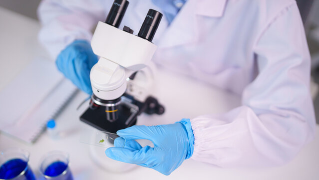 Medical researcher analyzing scientific samples microscope for innovative discovery laboratory experiment