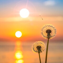 Dreamy image of sunset over water, dandelions in focus with a single seed drifting