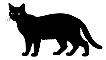 Minimalist black cat graphic with bright yellow eyes peering from the dark, and white whiskers