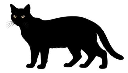 Minimalist black cat graphic with bright yellow eyes peering from the dark, and white whiskers
