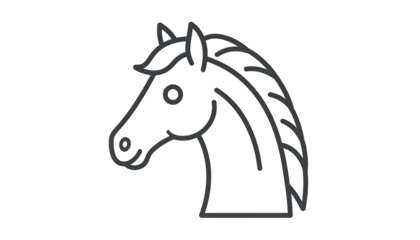 Minimalist grayscale horse head outline, showing mane and face details against a solid black background