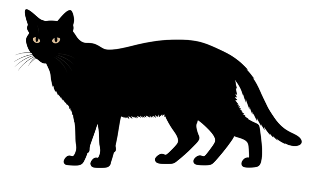 Minimalist black cat graphic with bright yellow eyes peering from the dark, and white whiskers