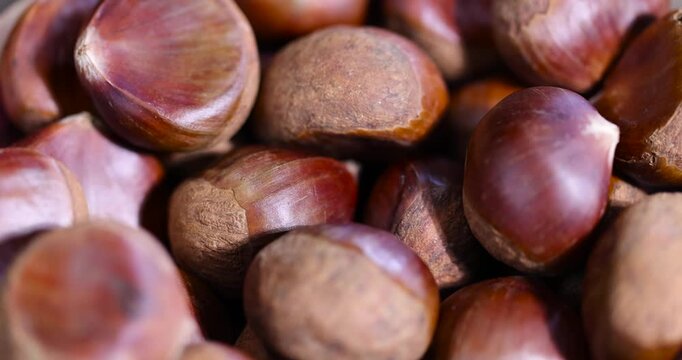 a hard edible chestnut fruit in a brown shell on a wooden table, a group of raw fruits of chestnut with a shell of brown color