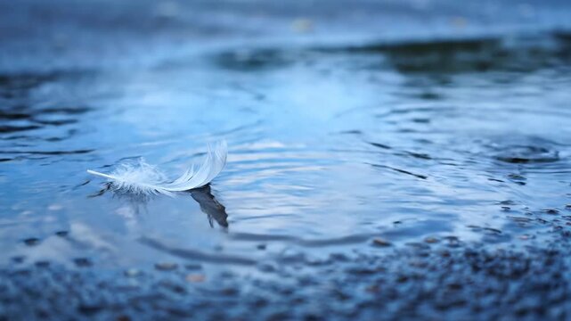 A delicate white feather floats peacefully on serene blue water, its reflection mirroring in the liquid. Pebbles frame the serene scene