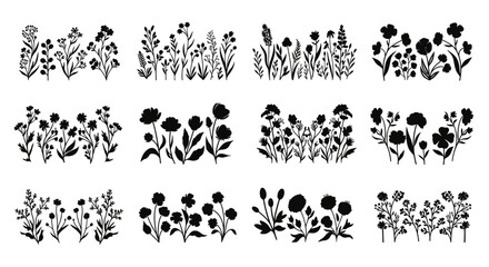 Collection of delicate black and white floral botanical illustrations with leaves