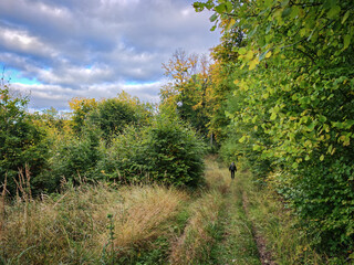 A hiker walking along a forest path on the northern slopes of the Bükk Mountains, surrounded by colorful autumn trees.