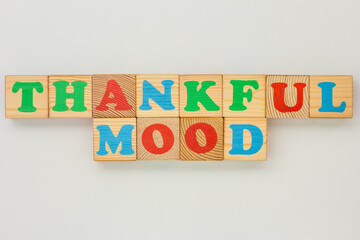 Wooden Alphabet Cubes Spelling thankful mood