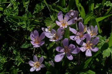 klein aber sch&ouml;n