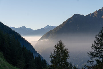 Morgennbebel im Puschlav