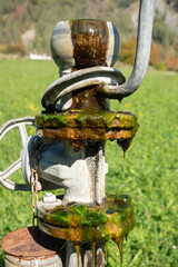 Feldbew&auml;sserung