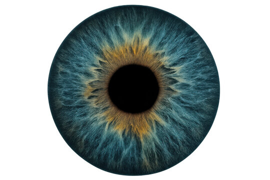 Human eye iris in extreme macro detail with blue and yellow hues, showing complex texture and transparent background
