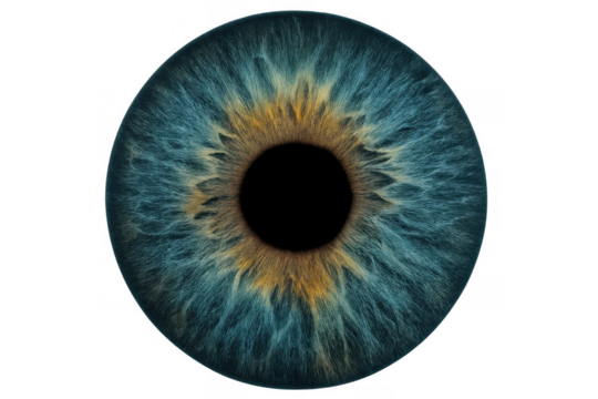 Human eye iris in extreme macro detail with blue and yellow hues, showing complex texture and transparent background