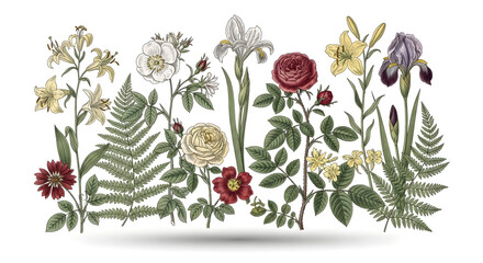 Assortment of Vintage Botanical Flower Illustrations