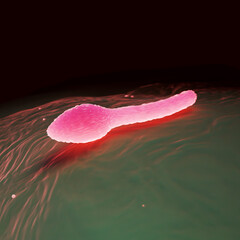 Clostridium Tetani Bacterium Microscopic 3D Render