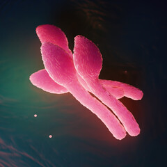 Clostridium Tetani Bacterium Microscopic 3D Render