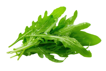 Fresh green arugula leaves with water droplets on black background rocket salad, Isolated On Transparent Background, Png Cut Out
