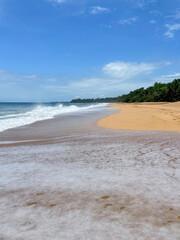 Tropical beach in caribbean, golden sand, foamy ocean waves and lush green palm trees, blue cloudy sky