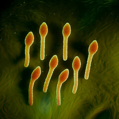 Clostridium Tetani Bacterium Microscopic 3D Render