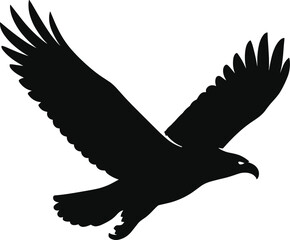 eagle soaring with wide spread wings and sharp beak silhouette