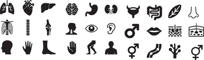 Collection of Human Anatomy Icons in Black Silhouette Style Vector Illustration for Medical and Educational Purposes Demonstrating Key Body Organs
