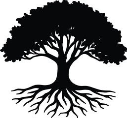 tree with wide canopy and exposed roots spreading outward silhouette