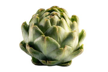 Obraz premium Single green artichoke vegetable with layered petals against black background food fresh, Isolated On Transparent Background, Png Cut Out