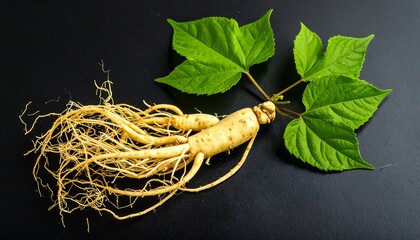 Fresh ginseng root with vibrant leaves